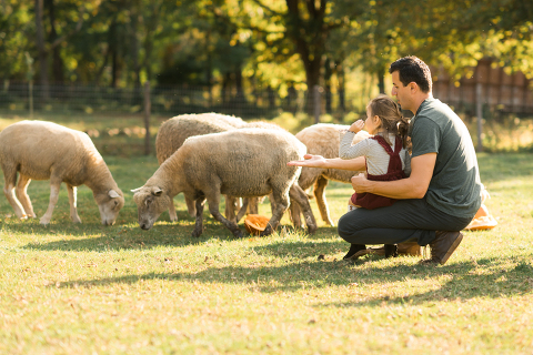 Fall is in full swing here in NJ, my first Fall Family session with Anna and Adam at their Farm House in Hackettstown NJ. Anna and Adam recently purchased their dream farm house on a 4 acres of land. This family of four now has chickens, ducks, birds, cats, a dog, sheep and plans to add many more to the list in the future. I had the honor of visiting Anna and Adam and their two beautiful children at their Farm the other day. I got much need vitamin D walking around the property, enjoying the foliage, running around with their kids and meeting all the farm animals. I sincerely enjoy photographing families now because there are no dull moments with kids, every moment is perfect! Fall family session at Anna and Adam’s Farm at Hackettstown NJ photographed by Karis from HeyKaris. 
