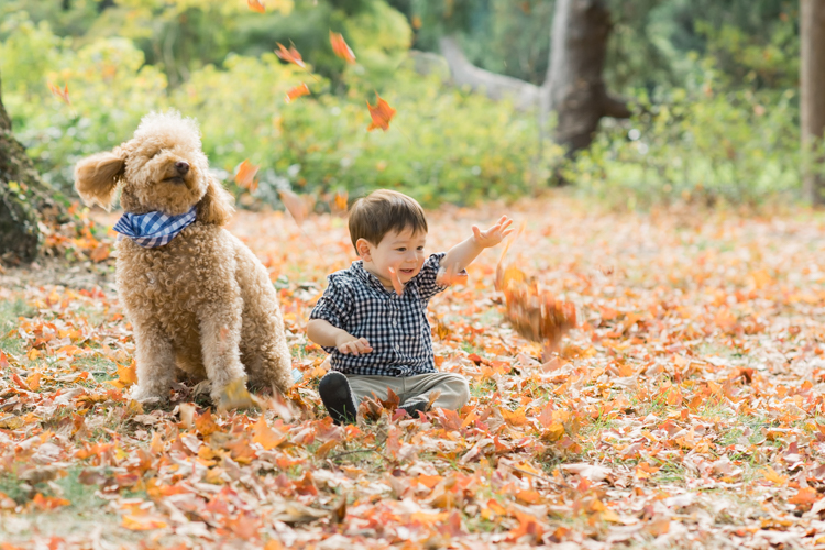 Most perfect, magical time of the year truly is Fall. Everything suddenly became golden, lovely, beautiful and good. Every sunrise and sunset is so great. We enjoyed full Fall weather with Jackie and Rob during their Fall family session at NJ Botanical Garden. Jackie and I went to Leonia High school together and it’s been over twenty years since we last met, nothing seemed different except now with our own kids and a husband. It was so great seeing old friend and her family, their shared smiles, love. A family’s chemistry is so warm, love so big and true. I sincerely love photographing family photos, I am so glad I am the person to capture this memory for them. Photograph is like freezing time, motion in print, movie turned into a book. Fall family session at NJ Botanical Garden with Jackie and Rob captured by Karis from Hey Karis.