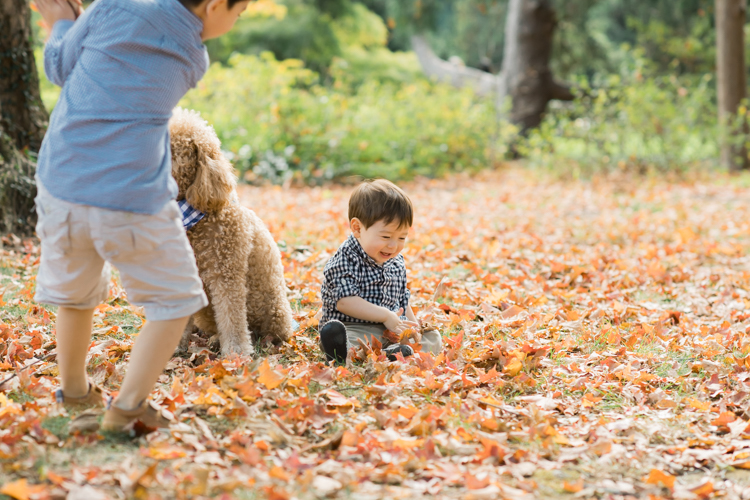 Most perfect, magical time of the year truly is Fall. Everything suddenly became golden, lovely, beautiful and good. Every sunrise and sunset is so great. We enjoyed full Fall weather with Jackie and Rob during their Fall family session at NJ Botanical Garden. Jackie and I went to Leonia High school together and it’s been over twenty years since we last met, nothing seemed different except now with our own kids and a husband. It was so great seeing old friend and her family, their shared smiles, love. A family’s chemistry is so warm, love so big and true. I sincerely love photographing family photos, I am so glad I am the person to capture this memory for them. Photograph is like freezing time, motion in print, movie turned into a book. Fall family session at NJ Botanical Garden with Jackie and Rob captured by Karis from Hey Karis.