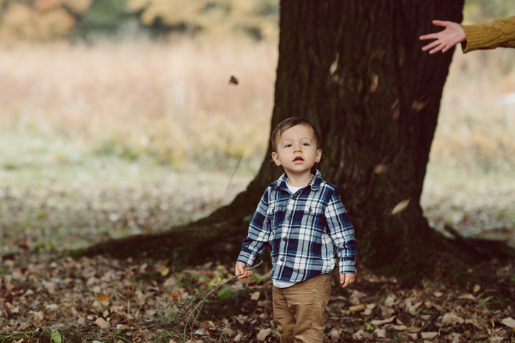 Alison, Brian and Lucas met me at The Cross Estate Gardens for a perfect fall family session. The weather was perfectly overcast giving that deep rich colors! Fall foliages were even more yellow, red and green. Like all other toddlers, Lucas did not want to stand pretty in front of my camera but that’s ok, I am mobile, pretty fast, and love a toddler w personality and character! Alison, Brian and Lucas’ fall adventure at the Cross Estate Gardens photographed by Karis from Hey Karis. Photograph is like freezing time, motion in print, movie turned into a book. Now booking 2021 and 2022 weddings.