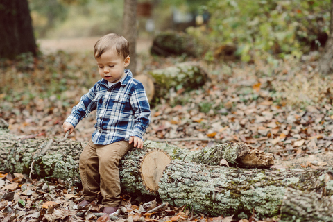 Alison, Brian and Lucas met me at The Cross Estate Gardens for a perfect fall family session. The weather was perfectly overcast giving that deep rich colors! Fall foliages were even more yellow, red and green. Like all other toddlers, Lucas did not want to stand pretty in front of my camera but that’s ok, I am mobile, pretty fast, and love a toddler w personality and character! Alison, Brian and Lucas’ fall adventure at the Cross Estate Gardens photographed by Karis from Hey Karis. Photograph is like freezing time, motion in print, movie turned into a book. Now booking 2021 and 2022 weddings.