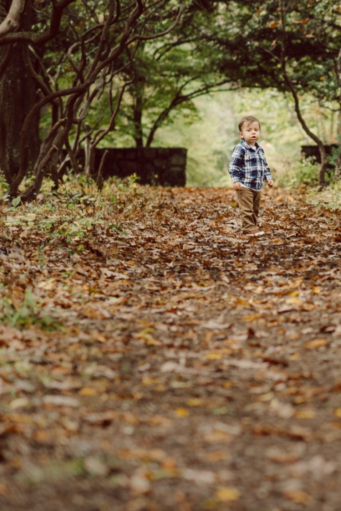 Alison, Brian and Lucas met me at The Cross Estate Gardens for a perfect fall family session. The weather was perfectly overcast giving that deep rich colors! Fall foliages were even more yellow, red and green. Like all other toddlers, Lucas did not want to stand pretty in front of my camera but that’s ok, I am mobile, pretty fast, and love a toddler w personality and character! Alison, Brian and Lucas’ fall adventure at the Cross Estate Gardens photographed by Karis from Hey Karis. Photograph is like freezing time, motion in print, movie turned into a book. Now booking 2021 and 2022 weddings.
