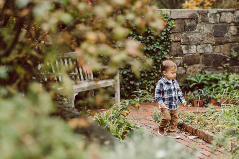 Alison, Brian and Lucas met me at The Cross Estate Gardens for a perfect fall family session. The weather was perfectly overcast giving that deep rich colors! Fall foliages were even more yellow, red and green. Like all other toddlers, Lucas did not want to stand pretty in front of my camera but that’s ok, I am mobile, pretty fast, and love a toddler w personality and character! Alison, Brian and Lucas’ fall adventure at the Cross Estate Gardens photographed by Karis from Hey Karis. Photograph is like freezing time, motion in print, movie turned into a book. Now booking 2021 and 2022 weddings.