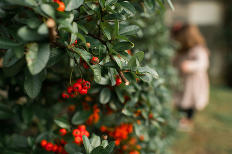 Weather was so amazing on the day I met Kristen and Anthony for their family session with three of their adorable daughters. Clare and Cass are the older two girls and from the moment I met them they showed me their fun personalities, l laughed, smiled and ran around Princeton University campus. I had such a fun time with the adorable D’Elia family.  Kristen and Anthony D’Elia Fall Family Session in Princeton University campus photographed by Karis from Hey Karis. Photograph is like freezing time, motion in print, movie turned into a book. 