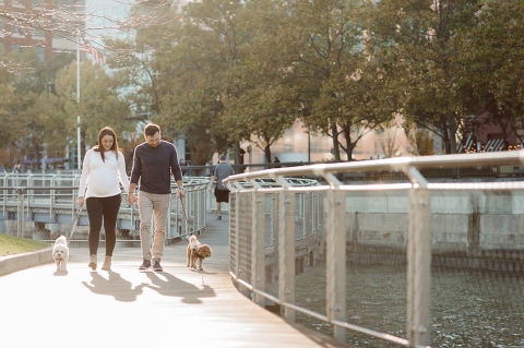 Very hot & sunny afternoon in November I met with Sam and Nick for the maternity session. This expecting parents brought their two fur babies out with them in the hopes of getting some photos of just four before the baby comes next months. Their puppies Cats and Cabo are shih-poos (shih Tzu and Toy Poodle mix) and are too adorable. With Case, Cabo walking along their parents sides we walked along the waterfront of Hoboken NJ. Sam was literally glowing like a porcelain doll and Nick looked so excited and a bit nervous for boy’s arrival. Sam and Nick’s maternity/family session in Hoboken NJ photographed by Karis from Hey Karis. Photograph is like freezing time, motion in print, movie turned into a book. Now booking 2021 and 2022 weddings.