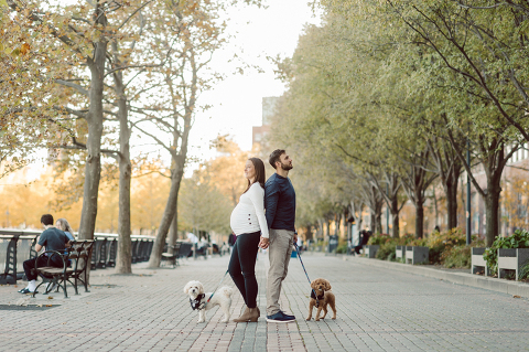 Very hot & sunny afternoon in November I met with Sam and Nick for the maternity session. This expecting parents brought their two fur babies out with them in the hopes of getting some photos of just four before the baby comes next months. Their puppies Cats and Cabo are shih-poos (shih Tzu and Toy Poodle mix) and are too adorable. With Case, Cabo walking along their parents sides we walked along the waterfront of Hoboken NJ. Sam was literally glowing like a porcelain doll and Nick looked so excited and a bit nervous for boy’s arrival. Sam and Nick’s maternity/family session in Hoboken NJ photographed by Karis from Hey Karis. Photograph is like freezing time, motion in print, movie turned into a book. Now booking 2021 and 2022 weddings.