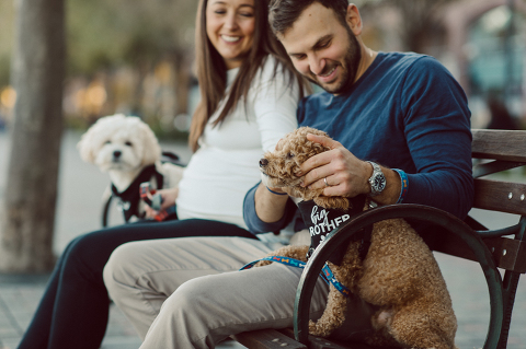 Very hot & sunny afternoon in November I met with Sam and Nick for the maternity session. This expecting parents brought their two fur babies out with them in the hopes of getting some photos of just four before the baby comes next months. Their puppies Cats and Cabo are shih-poos (shih Tzu and Toy Poodle mix) and are too adorable. With Case, Cabo walking along their parents sides we walked along the waterfront of Hoboken NJ. Sam was literally glowing like a porcelain doll and Nick looked so excited and a bit nervous for boy’s arrival. Sam and Nick’s maternity/family session in Hoboken NJ photographed by Karis from Hey Karis. Photograph is like freezing time, motion in print, movie turned into a book. Now booking 2021 and 2022 weddings.