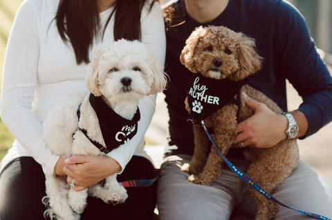 Very hot & sunny afternoon in November I met with Sam and Nick for the maternity session. This expecting parents brought their two fur babies out with them in the hopes of getting some photos of just four before the baby comes next months. Their puppies Cats and Cabo are shih-poos (shih Tzu and Toy Poodle mix) and are too adorable. With Case, Cabo walking along their parents sides we walked along the waterfront of Hoboken NJ. Sam was literally glowing like a porcelain doll and Nick looked so excited and a bit nervous for boy’s arrival. Sam and Nick’s maternity/family session in Hoboken NJ photographed by Karis from Hey Karis. Photograph is like freezing time, motion in print, movie turned into a book. Now booking 2021 and 2022 weddings.