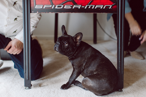 I photographed Andrea and Matt's wedding at The Rock Island Lake Club back in 2017, week ago I went to visit them at their house in Sparta NJ to photograph their little family of three. Andrea and Matt and their adorable french bull dog Lucy. I documented their day by walking Lucy, hanging out in the back with fire pit, hung out in the basement with all their pinball machines. Documenting day in the life of Andrea and Matt was such a delight. Andrea and Matt's day in the life captured by NY NJ Documentary Wedding Photographer Karis from Hey Karis, photographing your wedding, capturing your love and documenting your life.