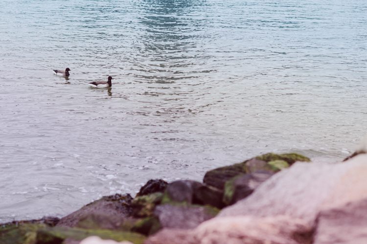 Gantry Plaza State Park LIC, Jay proposed to his girlfriend Aditi the day before valentines day on February 13, 2021 and coldest day! Aditi and Jay met during school while they were studying for MBA at NYU. Proposal totally caught Aditi by surprise, Jay fell on one knee on the edge of Gantry Plaza State Park LIC pulled out the most beautiful diamond ring. With excitement and over joyed hearts, as fiancés we waked around Gantry Plaza State Park to Queens Public Library for quick portraits of the lovers before sending them away for their engagement celebration. Aditi and Jay's Gantry Plaza State Park LIC proposal photograph captured by Hey Karis documenting elopements and weddings in NY NJ and planet earth.