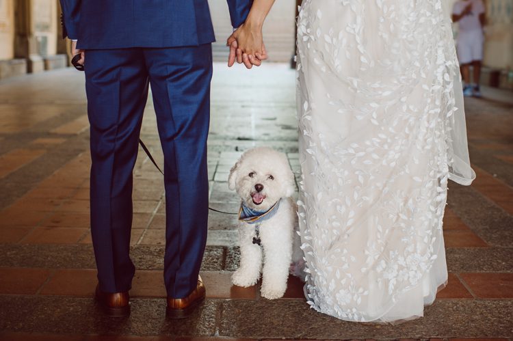 Monica and Will had a very simple intimate elopement planned at Central Park, NY then little reception with friends and parents are Instagram famous "Prince Tea House". Monica and Will's first look took place by Bethesda Fountain along with their beloved pup Appa (white fluffy Bichon Frise) We walked around Bethesda Fountain/Arcade getting some wedding portraits for Monica, Will and Appa then we walked towards Cop-Cot Central Park for Monica and Will's super intimate wedding ceremony officiated by his brother and joined by their parents, siblings and one friend. This super mini wedding ceremony was straight to the point and quick! At Prince Tea House about 20-30 friends of Monica and Will joined to celebrate the newly weds over some tea, biscuits and sandwiches. Monica and Will's Cop-Cot Central Park elopement, Prince Tea House wedding reception photographed by NYC elopement, Hudson Valley, Catskills, NY and NJ Farm, Adventure Wedding and Elopement Photographer Karis | Hey Karis