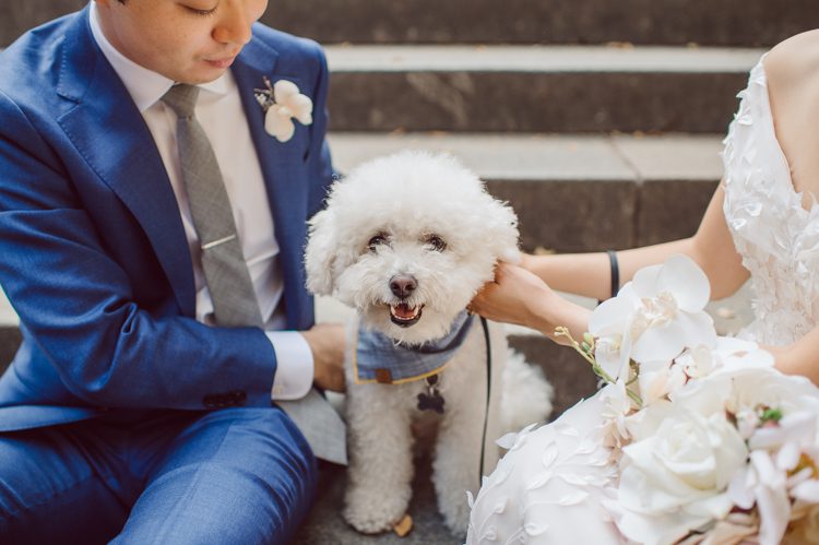 Monica and Will had a very simple intimate elopement planned at Central Park, NY then little reception with friends and parents are Instagram famous "Prince Tea House". Monica and Will's first look took place by Bethesda Fountain along with their beloved pup Appa (white fluffy Bichon Frise) We walked around Bethesda Fountain/Arcade getting some wedding portraits for Monica, Will and Appa then we walked towards Cop-Cot Central Park for Monica and Will's super intimate wedding ceremony officiated by his brother and joined by their parents, siblings and one friend. This super mini wedding ceremony was straight to the point and quick! At Prince Tea House about 20-30 friends of Monica and Will joined to celebrate the newly weds over some tea, biscuits and sandwiches. Monica and Will's Cop-Cot Central Park elopement, Prince Tea House wedding reception photographed by NYC elopement, Hudson Valley, Catskills, NY and NJ Farm, Adventure Wedding and Elopement Photographer Karis | Hey Karis
