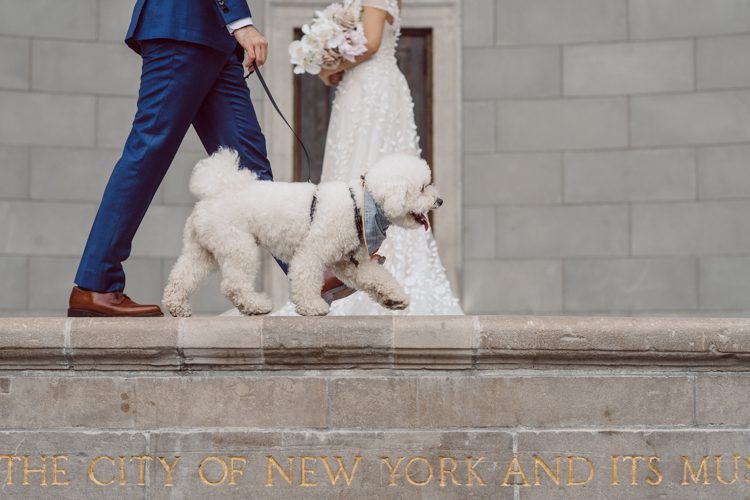 Monica and Will had a very simple intimate elopement planned at Central Park, NY then little reception with friends and parents are Instagram famous "Prince Tea House". Monica and Will's first look took place by Bethesda Fountain along with their beloved pup Appa (white fluffy Bichon Frise) We walked around Bethesda Fountain/Arcade getting some wedding portraits for Monica, Will and Appa then we walked towards Cop-Cot Central Park for Monica and Will's super intimate wedding ceremony officiated by his brother and joined by their parents, siblings and one friend. This super mini wedding ceremony was straight to the point and quick! At Prince Tea House about 20-30 friends of Monica and Will joined to celebrate the newly weds over some tea, biscuits and sandwiches. Monica and Will's Cop-Cot Central Park elopement, Prince Tea House wedding reception photographed by NYC elopement, Hudson Valley, Catskills, NY and NJ Farm, Adventure Wedding and Elopement Photographer Karis | Hey Karis