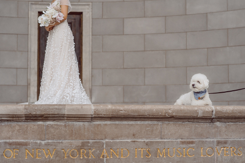 Monica and Will had a very simple intimate elopement planned at Central Park, NY then little reception with friends and parents are Instagram famous "Prince Tea House". Monica and Will's first look took place by Bethesda Fountain along with their beloved pup Appa (white fluffy Bichon Frise) We walked around Bethesda Fountain/Arcade getting some wedding portraits for Monica, Will and Appa then we walked towards Cop-Cot Central Park for Monica and Will's super intimate wedding ceremony officiated by his brother and joined by their parents, siblings and one friend. This super mini wedding ceremony was straight to the point and quick! At Prince Tea House about 20-30 friends of Monica and Will joined to celebrate the newly weds over some tea, biscuits and sandwiches. Monica and Will's Cop-Cot Central Park elopement, Prince Tea House wedding reception photographed by NYC elopement, Hudson Valley, Catskills, NY and NJ Farm, Adventure Wedding and Elopement Photographer Karis | Hey Karis 