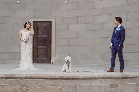 Monica and Will had a very simple intimate elopement planned at Central Park, NY then little reception with friends and parents are Instagram famous "Prince Tea House". Monica and Will's first look took place by Bethesda Fountain along with their beloved pup Appa (white fluffy Bichon Frise) We walked around Bethesda Fountain/Arcade getting some wedding portraits for Monica, Will and Appa then we walked towards Cop-Cot Central Park for Monica and Will's super intimate wedding ceremony officiated by his brother and joined by their parents, siblings and one friend. This super mini wedding ceremony was straight to the point and quick! At Prince Tea House about 20-30 friends of Monica and Will joined to celebrate the newly weds over some tea, biscuits and sandwiches. Monica and Will's Cop-Cot Central Park elopement, Prince Tea House wedding reception photographed by NYC elopement, Hudson Valley, Catskills, NY and NJ Farm, Adventure Wedding and Elopement Photographer Karis | Hey Karis 