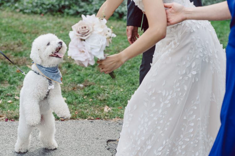 Monica and Will had a very simple intimate elopement planned at Central Park, NY then little reception with friends and parents are Instagram famous "Prince Tea House". Monica and Will's first look took place by Bethesda Fountain along with their beloved pup Appa (white fluffy Bichon Frise) We walked around Bethesda Fountain/Arcade getting some wedding portraits for Monica, Will and Appa then we walked towards Cop-Cot Central Park for Monica and Will's super intimate wedding ceremony officiated by his brother and joined by their parents, siblings and one friend. This super mini wedding ceremony was straight to the point and quick! At Prince Tea House about 20-30 friends of Monica and Will joined to celebrate the newly weds over some tea, biscuits and sandwiches. Monica and Will's Cop-Cot Central Park elopement, Prince Tea House wedding reception photographed by NYC elopement, Hudson Valley, Catskills, NY and NJ Farm, Adventure Wedding and Elopement Photographer Karis | Hey Karis