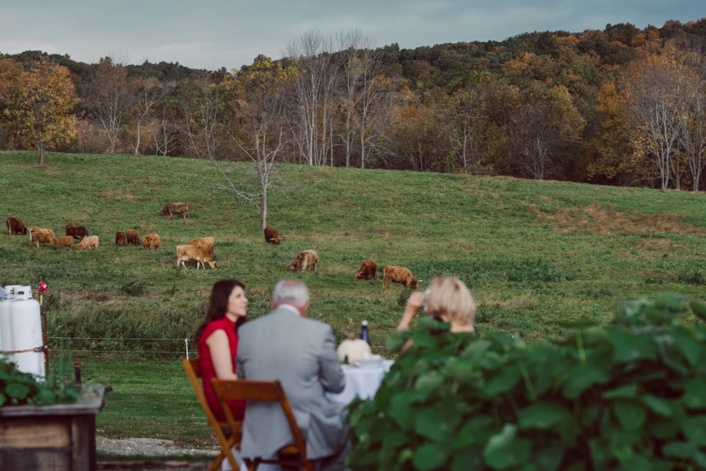 The Farm at Glenwood Mountain located in Sussex, NJ right by Mountain Creek Resort, this unique farm wedding venue was on my bucket list and I had the chance to photograph a wedding here with the best couple! Cristina and Nick, rock'n roll loving die hard fan of Marvel Studio duo celebrated their love and becoming one union at The Farm at Glenwood Mountain with fluffy cows in their backdrop. Cristina and Nick's love for each other is so real and true brought tears and smile on my eye and face the entire day. Cristina and Nick's The Farm and Glenwood Mountain wedding photographed by Hudson Valley, Catskills, NYC and NJ, Fun Wedding and Intimate Elopement Photographer | Hey Karis.