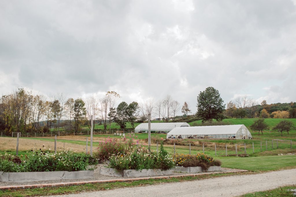 The Farm at Glenwood Mountain located in Sussex, NJ right by Mountain Creek Resort, this unique farm wedding venue was on my bucket list and I had the chance to photograph a wedding here with the best couple! Cristina and Nick, rock'n roll loving die hard fan of Marvel Studio duo celebrated their love and becoming one union at The Farm at Glenwood Mountain with fluffy cows in their backdrop. Cristina and Nick's love for each other is so real and true brought tears and smile on my eye and face the entire day. Cristina and Nick's The Farm and Glenwood Mountain wedding photographed by Hudson Valley, Catskills, NYC and NJ, Fun Wedding and Intimate Elopement Photographer | Hey Karis.