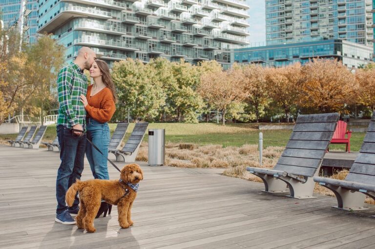 The fun I had meeting Wilson, Melanie and Calvin's Golden Doodle pup I had the pleasure of meeting for their engagement session at Gantry Plaza State Park LIC. Melanie and Calvin lives right by the Gantry Plaza State Park so naturally we chose to meet here for their engagement session, plus we had to make it easy for their fur baby Wilson to join. Wilson of course stole all my attention for the first half of the engagement session then Wilson was walked by Melanie and Calvin's friend while we wandered off the explore other parts of Gantry Plaza State Park. Melanie and Calvin's Fall engagement session at Gantry Plaza State Park LIC joined by their golden doodle Wilson photographed by Hudson Valley, Catskills, NYC and NJ, Fun Weddings and Intimate Elopements Photographer | Hey Karis.