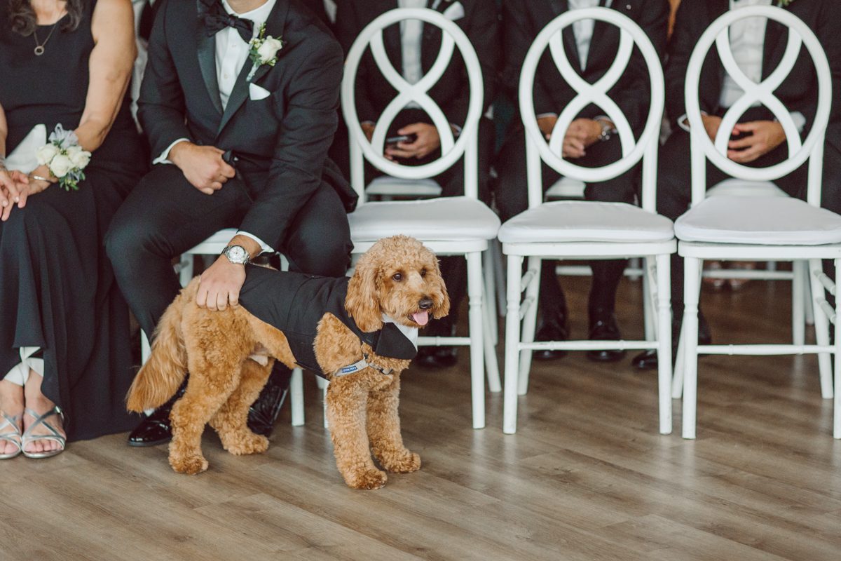 Melanie and Calvin has a fur baby Wilson most adorable Goldendoodle that is a live teddy bear. Wilson is a big part of Melanie and Calvin's lives so they had to have him join in on the wedding celebration at Maritime Parc NJ. Wilson got ready together with Calvin and the guys in the morning while Melanie got ready with her girls and moms. Then we headed to Liberty State Park where Maritime Parc is located in Jersey City, NJ Melanie and Calvin saw each other for the first time, read each other's vows in private under a tree at Liberty State Park, then Wilson joined them for some quick photos. Melanie and Calvin got married under a chuppah in the main ballroom at Maritime Parc, followed by fun night of reception. Melanie and Calvin's Maritime Parc Jersey City NJ wedding captured by Karis from Hey Karis NY, NJ, Brooklyn, Hudson Valley and Catskills Wedding and Elopement Photographer.