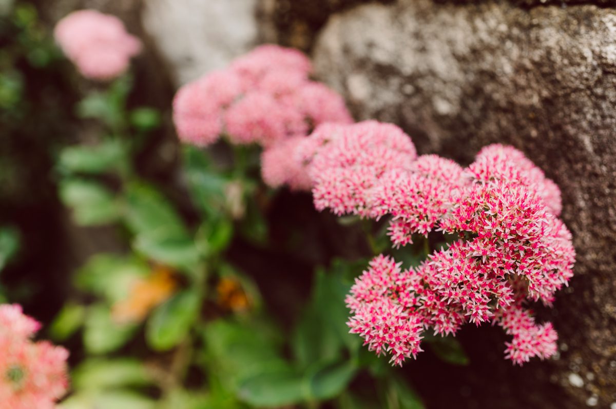 It got chilly over night but at least it wasn't raining. Just overcast which I can deal with and gladly take over rainy wedding day. My drive to Croton on Hudson NY was very smooth and scenic. The neighborhood near the Greta's Lakewood House on Croton on Hudson NY was very picturesque. I love driving through a small winding roads with unique farm houses along the way. Just as Elayne and Alexei explained I saw a white gate house on the Quaker Ridge Road, that I my entrance to Greta's Lakewood House on Croton on Hudson, NY. Drove in to the estate following the long driveway and found the Lakewood House with red door. As I was pulling in to a parking spot I saw Elayne and Alexei come out of the back door together holding a tray of French Fries. Why was I not surprised that they were together on the morning of their wedding day sharing a tray of French Fries together. They looked themselves, calm, happy and in love. I was early, so I walked around the property getting some landscape and exterior photo of this beautiful place. Elayne and Alexei of course got ready separately in their own little house on the property on their own. Elayne quietly did her own makeup and hair and got into her wedding dress all on her own! Even put together her own bouquet! I as Alexei getting bit nervous as he was getting ready, reading Elayne's card, wiring his vow. Around only 20 people were invited to this very private, intimate wedding celebration. Elayne and Alexei looking at each other read their wedding vows, ring on each hand, broke the glass and kissed. The rest of the day fell in to it's place naturally and organically without any coordinator or wedding planner following around every step of the way. They chatted with friends and family, drank champagne, and sat down for family style dinner. It was such a lovely moment watching everyone sharing meal, laughing and loving. Elayne and Alexei ended their wedding day with a bonfire by the Lakewood House. Elayne and Alexei's intimate Lakewood House Croton on Hudson NY wedding captured by Karis from Hey Karis New York, Brooklyn, Hudson Valley and Catskills Wedding Photographer and NYC Elopement Photographer.