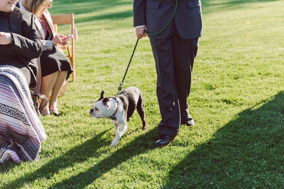 Talking about climate change (global warming) we've been having weirdly warm almost hot Fall. So we were hoping so another warm day for Becca and Dan's wedding on October 8, 2022 but unfortunately non of us were that lucky and it was pretty chilly. Especially at The Farm at Glenwood Mountain NJ which is pretty Northern NJ it felt or was colder, windier and just chillier. Thankfully I brought the right jacket for the chilly wind on the top of Glenwood Mountain but OMG I felt so bad for my bride Becca only wearing her lace wedding dress standing outside on top of Glenwood Mountain during the wedding ceremony. But before I talk about the wedding ceremony let's start from Becca and Dan's wedding prep which took place onsite at The Farm at Glenwood Mountain in Sussex NJ. Becca got ready cozy in the bridal suit when Dan just got ready by the Barn at The Farm at Glenwood Mountain and we went straight into Becca and Dan's first look next to the Highland Cows! Cutest fluffy Highland Cows were all out by the field and chilled while we took some wedding portraits of Becca and Dan. One of the many reasons "I LOVE" this wedding venue "The Farm at Glenwood Mountain" is because of these adorable Fluffy Cows called Highland Cows! I can stare at the all day long and take photo of them all day long. After Becca and Dan's first look, wedding portraits and family photos were done I walked up to the hill to Becca and Dan's outdoor ceremony area on top of the hill at The Farm at Glenwood Mountain and along the way I saw more cute baby Highland Cows to photograph and stare and wave hello. Watched guests arrive in a Yellow School bus in any rustic Farm wedding style and was them walk up the hill. Following the path, the fence with The Barn at their backdrop. Sun was out, it was clear gorgeous day but bit chilly and definitely way windy on top of the hill. My groom Dan came up along with their dog Dash (Dasher), then finally Becca arrived with her parents along side her. Ceremony started quickly knowing that guests and bride probably are freezing, Wind kept moving the cloud in and out making me change my exposure non stop. Wind blew hard, moving Becca's hair all over the place. But non the less it was sincere and beautiful wedding ceremony surrounded by nature, trees and Highland Cows Becca and Dan said their wedding vows followed by I do's. Sealing the wedding ceremony with a kiss Becca and Dan walked down the aisle quickly as possible to bundle Becca in to something warm. Amazing food, spread and hors d'oeuvres were passed out and when the sun was setting everyone made their way in to the barn for warmth and to seated for Becca and Dan's wedding reception. Gorgeous structured barn at The Farm at Glenwood Mountain is definitely not your typical too rustic and broken down barn, the barn here is new, clean, architectural and gorgeous! The owner Chef Steve even makes everyone take off their shoes if we need to enter the barn before the reception. Just like that Becca and Dan danced and partied their way into the night and it was already time for their barn fire and s'mores time outside. Becca and Dan's The Farm at Glenwood Mountain Sussex NJ wedding captured by Karis from Hey Karis New York, Brooklyn, Hudson Valley and Catskills Wedding Photographer and NYC Elopement Photographer.
