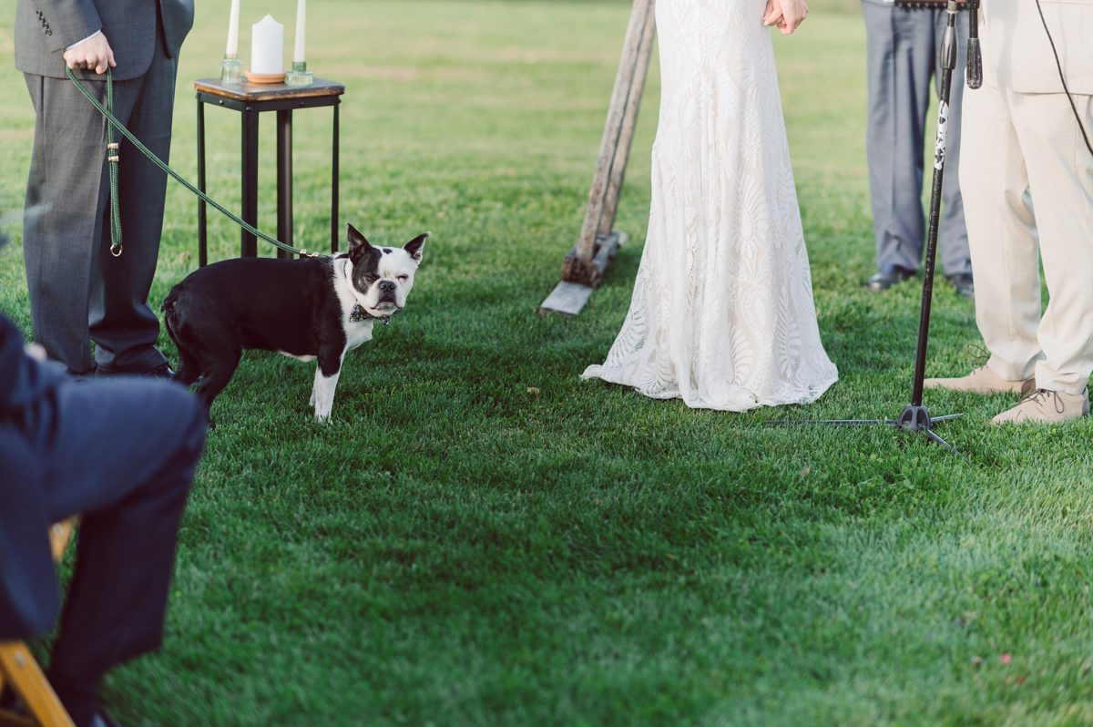 Talking about climate change (global warming) we've been having weirdly warm almost hot Fall. So we were hoping so another warm day for Becca and Dan's wedding on October 8, 2022 but unfortunately non of us were that lucky and it was pretty chilly. Especially at The Farm at Glenwood Mountain NJ which is pretty Northern NJ it felt or was colder, windier and just chillier. Thankfully I brought the right jacket for the chilly wind on the top of Glenwood Mountain but OMG I felt so bad for my bride Becca only wearing her lace wedding dress standing outside on top of Glenwood Mountain during the wedding ceremony. But before I talk about the wedding ceremony let's start from Becca and Dan's wedding prep which took place onsite at The Farm at Glenwood Mountain in Sussex NJ. Becca got ready cozy in the bridal suit when Dan just got ready by the Barn at The Farm at Glenwood Mountain and we went straight into Becca and Dan's first look next to the Highland Cows! Cutest fluffy Highland Cows were all out by the field and chilled while we took some wedding portraits of Becca and Dan. One of the many reasons "I LOVE" this wedding venue "The Farm at Glenwood Mountain" is because of these adorable Fluffy Cows called Highland Cows! I can stare at the all day long and take photo of them all day long. After Becca and Dan's first look, wedding portraits and family photos were done I walked up to the hill to Becca and Dan's outdoor ceremony area on top of the hill at The Farm at Glenwood Mountain and along the way I saw more cute baby Highland Cows to photograph and stare and wave hello. Watched guests arrive in a Yellow School bus in any rustic Farm wedding style and was them walk up the hill. Following the path, the fence with The Barn at their backdrop. Sun was out, it was clear gorgeous day but bit chilly and definitely way windy on top of the hill. My groom Dan came up along with their dog Dash (Dasher), then finally Becca arrived with her parents along side her. Ceremony started quickly knowing that guests and bride probably are freezing, Wind kept moving the cloud in and out making me change my exposure non stop. Wind blew hard, moving Becca's hair all over the place. But non the less it was sincere and beautiful wedding ceremony surrounded by nature, trees and Highland Cows Becca and Dan said their wedding vows followed by I do's. Sealing the wedding ceremony with a kiss Becca and Dan walked down the aisle quickly as possible to bundle Becca in to something warm. Amazing food, spread and hors d'oeuvres were passed out and when the sun was setting everyone made their way in to the barn for warmth and to seated for Becca and Dan's wedding reception. Gorgeous structured barn at The Farm at Glenwood Mountain is definitely not your typical too rustic and broken down barn, the barn here is new, clean, architectural and gorgeous! The owner Chef Steve even makes everyone take off their shoes if we need to enter the barn before the reception. Just like that Becca and Dan danced and partied their way into the night and it was already time for their barn fire and s'mores time outside. Becca and Dan's The Farm at Glenwood Mountain Sussex NJ wedding captured by Karis from Hey Karis New York, Brooklyn, Hudson Valley and Catskills Wedding Photographer and NYC Elopement Photographer.
