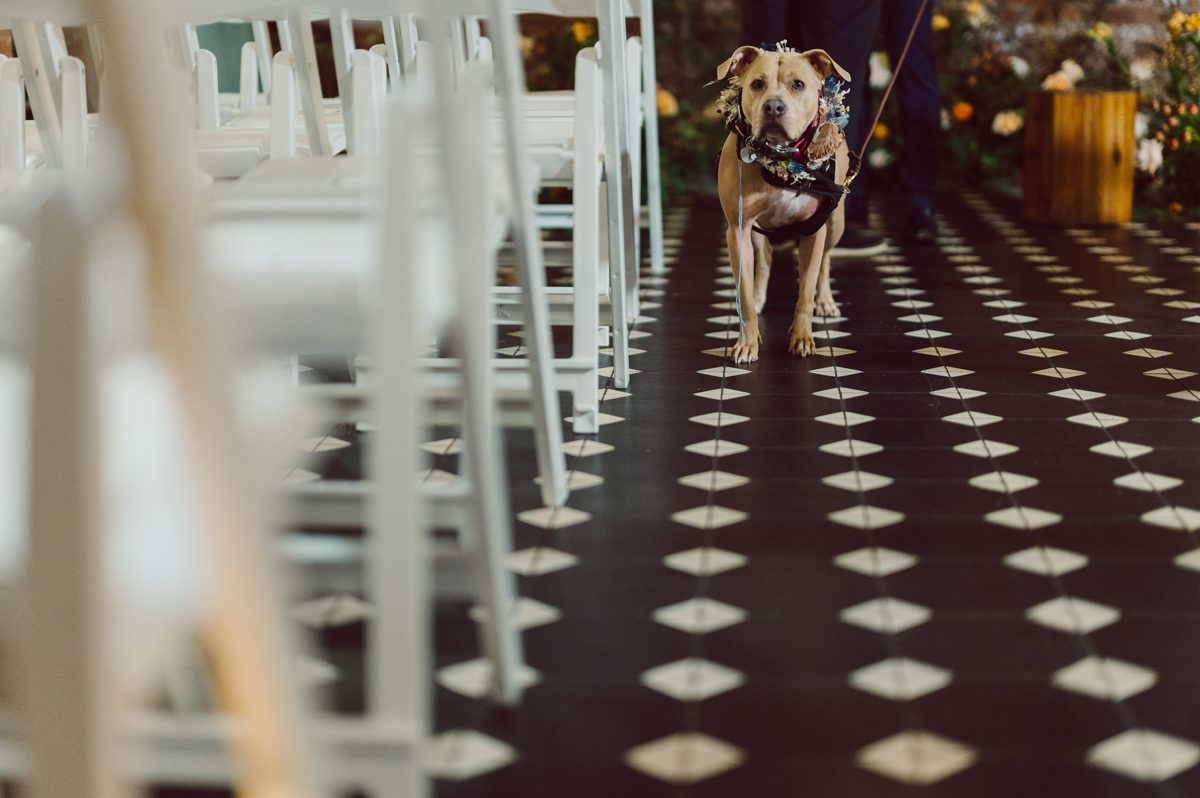 Since it was Friday and I did not wanted to get stuck in morning rush hour, I left for Brooklyn early! Friday December 2, I was on my way to document my last wedding of 2022 at Wythe Hotel in Brooklyn NY. I knew today was going to be great not just because I am photographing my last wedding of 2022 at Wythe Hotel in Brooklyn NY but because we are celebrating Jenny and Anderson two beautiful, pure and amazing human beings who are madly in love. Jenny is hairstylist for TV and Film where she gets to work with actors and actresses, she goes by JT Franchuk and some of her clients include Susan Sarandon in Maybe I do, Chloe Moretz in The Peripheral on Netflix as well as Halston also on Netflix. And Anderson is from Columbia, where he self taught himself during the pandemic and recently got a job at JP Morgan. These two amazingly talented and genuine lovers wedding day was finally here and I was here for all that they had planned for their wedding at Wythe Hotel Brooklyn NY. Jenny got ready at an airbnb on Vernon Ave and Anderson was getting a fresh cut at Cotter Barber Shop on Graham Ave. Jenny and Anderson's wedding day ran so smoothly due to amazing planner Cristina from Carismas Design. Jenny and Anderson's first look at Cooper Room at Wythe Hotel, then Jenny had her first look with her father and grandfather which was very emotional. The with Jenny and Anderson we walked around Wythe Hotel to do some more wedding portrait. Jenny and Anderson's cocktail hour was held at Pent House Loft/ Loft Room at Wythe Hotel then we all headed back down to Cooper Room Cellar for Jenny and Anderson's wedding reception. Jenny and Anderson's Wythe Hotel Brooklyn NY wedding documented by Karis from Hey Karis New York, Brooklyn, Hudson Valley and Catskills Wedding Photographer and NYC Elopement Photographer.