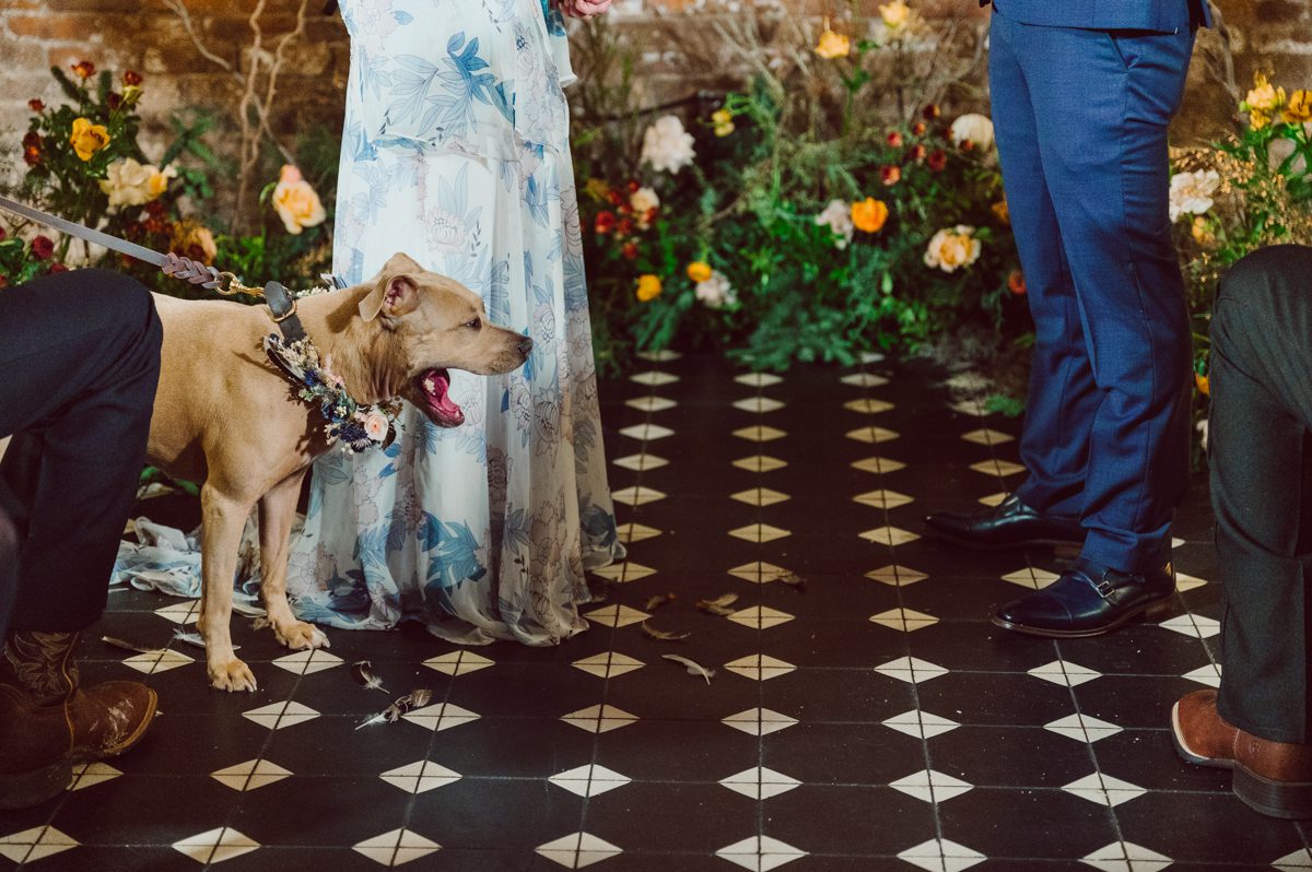 Since it was Friday and I did not wanted to get stuck in morning rush hour, I left for Brooklyn early! Friday December 2, I was on my way to document my last wedding of 2022 at Wythe Hotel in Brooklyn NY. I knew today was going to be great not just because I am photographing my last wedding of 2022 at Wythe Hotel in Brooklyn NY but because we are celebrating Jenny and Anderson two beautiful, pure and amazing human beings who are madly in love. Jenny is hairstylist for TV and Film where she gets to work with actors and actresses, she goes by JT Franchuk and some of her clients include Susan Sarandon in Maybe I do, Chloe Moretz in The Peripheral on Netflix as well as Halston also on Netflix. And Anderson is from Columbia, where he self taught himself during the pandemic and recently got a job at JP Morgan. These two amazingly talented and genuine lovers wedding day was finally here and I was here for all that they had planned for their wedding at Wythe Hotel Brooklyn NY. Jenny got ready at an airbnb on Vernon Ave and Anderson was getting a fresh cut at Cotter Barber Shop on Graham Ave. Jenny and Anderson's wedding day ran so smoothly due to amazing planner Cristina from Carismas Design. Jenny and Anderson's first look at Cooper Room at Wythe Hotel, then Jenny had her first look with her father and grandfather which was very emotional. The with Jenny and Anderson we walked around Wythe Hotel to do some more wedding portrait. Jenny and Anderson's cocktail hour was held at Pent House Loft/ Loft Room at Wythe Hotel then we all headed back down to Cooper Room Cellar for Jenny and Anderson's wedding reception. Jenny and Anderson's Wythe Hotel Brooklyn NY wedding documented by Karis from Hey Karis New York, Brooklyn, Hudson Valley and Catskills Wedding Photographer and NYC Elopement Photographer.