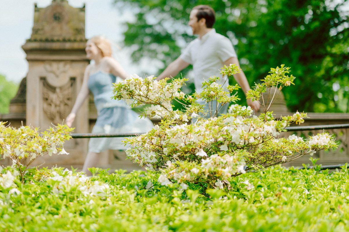 Off leash hour has officially started at Bethesda Fountain in Central Park NY, which is really the best time to go to Bethesda Fountain but only if you are a dog lover! There will be all kind of different personalities of dogs running wild around Bethesda Fountain off leash having the best time of their lives and I can sit there watching these adorable creatures all day long! But today I was there to photograph Katie and Craig and needed to stay focused. Katie and Craig were absolutely the best humans and fellow animal/nature lovers like me so we walked around and may have gotten lost in the woody forest of Central Park but this Central Park engagement session was bit different because Katie and Craig wanted to focus on the nature so we went looking for the lush greens and florals of Central Park. Bethesda Fountain Central Park NY engagement session documented by by Karis | Hey Karis | Catskills, Hudson Valley NY, elopement and wedding photographer | Brooklyn NY elopement and wedding photographer | Manhattan NY elopement and wedding photographer | Hey Karis is fun documentary wedding and elopement photographer.