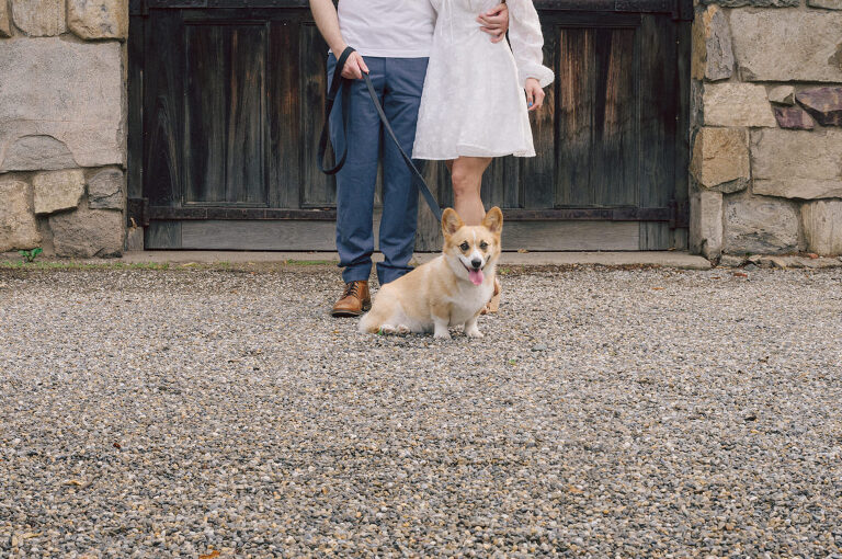 Ari and Kevin reached out with an intimate wedding plans and was pretty much ready to book me as soon as they got on the phone. Most intimate wedding couples opt out of engagement session but Ari knew she wanted an engagement session to celebrate their love before their intimate wedding in August. Ari and Kevin have very active lifestyle where they go climbing, hiking, running, etc...so by default they wanted an outdoor natury engagement session. We chose to meet at the botanical garden. Since we are in the middle of hot summer, we all agreed on early session when the park opened but even than 30mins into the engagement session it got real hot and humid. Ari not so much but Kevin was definitely started sweating. But Ari and Kevin along with their Corgi named Echo did amazing, we had so much fun as you can see from these photos of Ari, Kevin and Echo. Ari and Kevin's Botanical Garden engagement documented by by Karis | Hey Karis | Catskills, Hudson Valley NY elopement and wedding photographer | Brooklyn NY elopement and wedding photographer | Manhattan NY elopement and wedding photographer | Hey Karis is fun documentary wedding and elopement photographer.